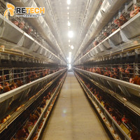 Équipement d'Élevage Retech H Type Automatique pour Poules Pondeuses avec Système de Collecte d'Œufs