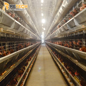 Équipement de <span class=keywords><strong>Cage</strong></span> Automatique pour Poules Pondeuses Retech Farming Type H avec Système de Collecte d'Œufs - Product Image 2