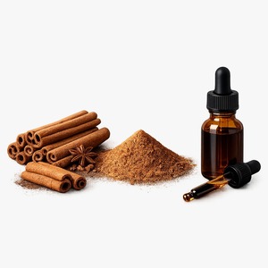 ผงสารสกัดเปลือกอบเชย 60% สกัดด้วยตัวทำละลาย เกรดอาหาร - Product Image 1