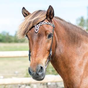 Producto internacional de caballo de frotamiento de cabeza de cuero negro de cristal blanco de alta calidad - Product Image 3