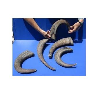 ธรรมชาติ