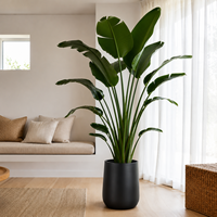 Pot de fleurs noir moderne, grand pot rond pour plantes d'extérieur et d'intérieur, support pour cactus et succulentes
