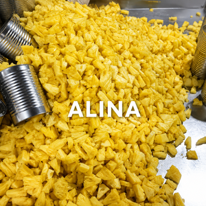 Whole Sliced Organic Canned Pineapple in <b>Light</b> Syrup Sweet & Sour Taste High Quality From Vietnam/ Ms. Alina - Product Image 6