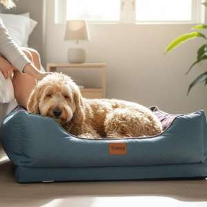 Cama para Mascotas Yommy, Cómoda y con Soporte, con Base de Espuma de Alta Densidad, Diseño Envolvente y Acolchado para Perros - Product Image 1