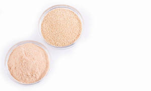 Isolat de protéines de levure végétale 100 % pur de haute pureté en poudre pour la nutrition commerciale et la formulation alimentaire - Product Image 6