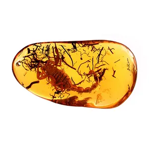 Insect Amber 63x34mm Fancy Tumble 123.95Cts Drilled Gemstone For Pendant Making