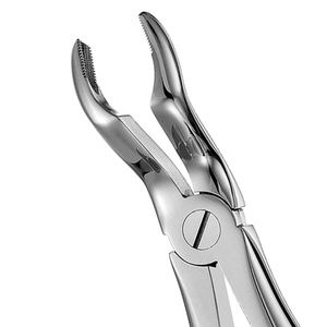 Forceps d'extraction 67A pour molaires supérieures, modèle anglais, en acier inoxydable, instrument chirurgical pour dents de sagesse - Product Image 1