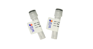 BT-MCA4828 KRT19 anticorpo monoclonale - Product Image 3