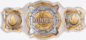 High Quality RONPEX Custom Championship Belt Brass & Leather Waterproof Unisex Martial Arts Training Equipment <b>28mm</b> Diameter - Product Image 1