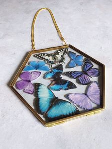 Cadre photo hexagonal vintage doré en verre, décoration murale suspendue avec papillon, fleurs pressées, présentoir flottant - Product Image 1