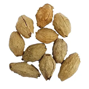 เมล็ดพันธุ์ RK Seeds Desi Fast-Growing Melia Dubia Malabar Neem ที่ผ่านการบำบัด ใช้ได้หลากหลาย สำหรับไม้แปรรูปจากอินเดีย - Product Image 1