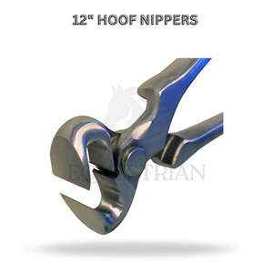 ที่ตัดกีบม้าสแตนเลสขนาด 12 นิ้ว อุปกรณ์สัตวแพทย์ สำหรับดูแลและตัดแต่งกีบม้า - Product Image 2