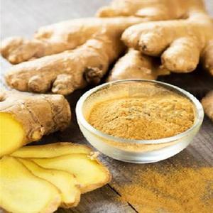 ผงสกัดขิง Zingiber Officinale 10% จินเจอรอล ผลิตภัณฑ์เสริมอาหารสมุนไพรธรรมชาติเพื่อสุขภาพทางเดินอาหาร ภูมิคุ้มกัน และสุขภาพทั่วไป - Product Image 1