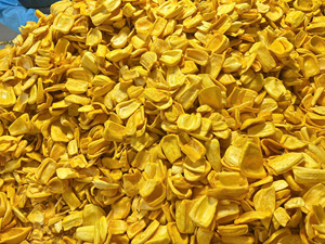 Golden Dried Jackfruit Crispy Snack Premium Quality Bulk Supply Private Label Vietnam Factory Export - Product Image 5