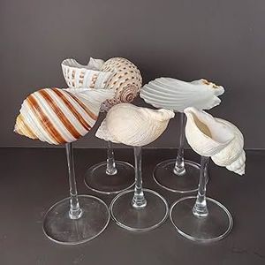 Copa de Vino de Concha Natural Hecha a Mano, de Vietnam, para Decoración de Hogares Costeros, Bodas en la Playa, Servicio de Fiestas, Venta al por Mayor - Product Image 1