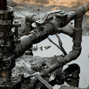 Bioremédiation avancée pour le nettoyage des déchets pétroliers - Product Image 5