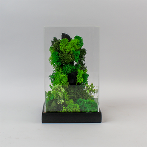 Terrarium vertical avec mousse et fleurs préservées, 5,5 x 5,5 x 9 pouces, couvercle en acrylique, décoration écologique - Product Image 2