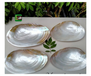 Plaque de coquille de nacre de luxe plaque de coquille de nacre bon marché pour le style à la maison et la décoration de mariage plaque de Style européen - Product Image 3