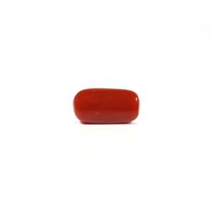 Natural Red Coral Oval Cabochon Loose Gemstone 4.97 Carat Certified Wholesale - Product Image 2