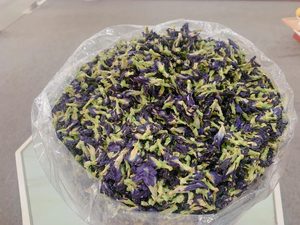 Wholesale Organic Butterfly Pea Flower <b>Tea</b> 100% Natural Dried Blue Pea Herbal <b>Tea</b> Top Grade EXPAD Brand Bulk Supplier for Global - Product Image 2