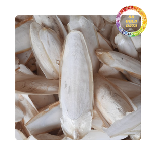 Os de seiche de haute qualité pour les fabricants d'aliments pour oiseaux, les animaleries et les grossistes - Product Image 4