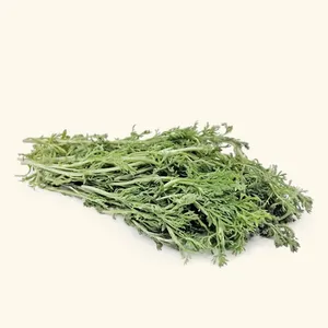 Wholesale Davana Essential Oil 2 KG Steam Distilled Artemisia Pallens Herbal Oil - Katyani Exports Quality Supplier Manufacturer - Product Image 6