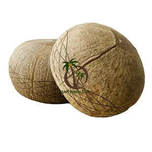 Кокосовая миска ручной работы Вьетнам/миска с ложкой из кокоса JUMBO/оптовая продажа лаковых кокосовых мисок Салатница с бесплатным логотипом