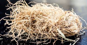 ALOURA OILS Supreme KHUS (VETIVER) Huile Attar Naturelle Bois de Santal - d'Uttar Pradesh pour l'Aromathérapie et les Parfums Naturels - Product Image 3