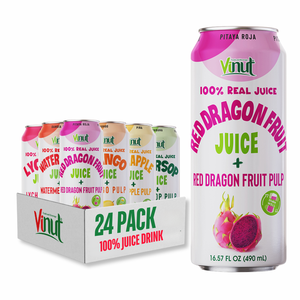 Para VINUT 490ml Jugo de frutas y verduras sin azúcar con variedad de pulpa Sabores OEM/ODM Disponible Precio de fábrica Etiqueta privada - Product Image 1