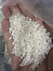 RIZ MOYEN-RIZ À GRAINS COURTS RIZ BON MARCHÉ POUR LES VENTES-MS JENIFER DE VILACONIC - Product Image 4