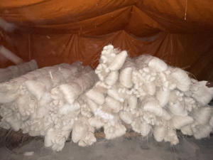 Vietnamita 1,5mm Núcleo de ratán blanqueado Muebles de jardín Artesanía Materia prima Marca HNIECO 25/50kg Hecho en Vietnam (Mr.Huy - Product Image 4