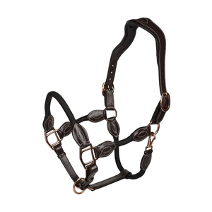 Harnais en cuir pour cheval, prêt à l'emploi, robuste, idéal pour l'entraînement, la manipulation, le contrôle et l'entretien équestre quotidien. - Product Image 1