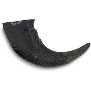 100% Natural, Cuerno de Búfalo Pequeño, Juguete Masticable para Perros, Duradero, de Origen Ético, Tallado, Golosina Dental, Rico en Proteínas, Bajo en Grasa - Product Image 2