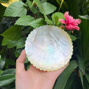 Plato de concha marina iridiscente natural de 10 cm con detalles artesanales intrincados para un estilo elegante en el hogar y la mesa. - Product Image 1