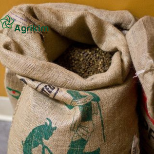 เมล็ดกาแฟสีเขียวโรบัสต้า & อาราบิก้าคั่วสินค้าส่งออกจากเวียดนาม + 84 35 9169566 - Product Image 5