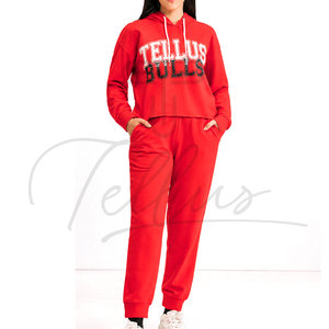 Ensembles de survêtements décontractés pour femmes à bas prix, nouveau design, deux pièces, survêtements pour femmes, vêtements de rue, survêtements pour femmes en vente - Product Image 2