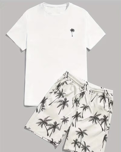 Men Summer T-Shirt and Shorts Set Casual Beachwear Two-Piece Outfit Custom Logo ODM Front - Product Image 1