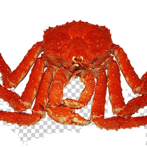 Las Mejores Patas de Cangrejo Rey de Alaska al por Mayor - Product Image 6