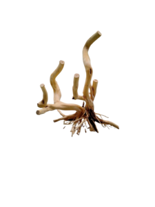 Décoration d'aquarium en bois flotté naturel de différentes tailles, forme irrégulière, écologique, ornement pour aquarium, produit du Vietnam - Product Image 4