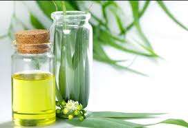 Aceite de Eucalipto Puro de Primera Calidad, 100% Natural y Orgánico, Revitalizador para la Piel, Apto para Todo Tipo de Piel, Venta al Por Mayor, Confiable - Product Image 2