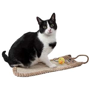 Rascador para Gatos Ecológico y Natural de Sisal y Yute, Alfombra Colgante para Gatos con Juguete - Product Image 3