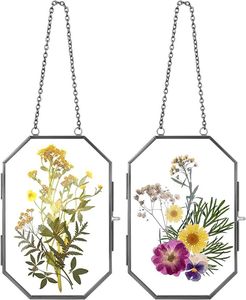 Cadre photo suspendu moderne en laiton et verre, minimaliste, pour fleurs pressées, décoration murale pour la maison - Product Image 2