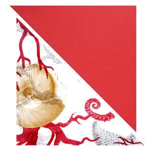 Cuscino Decorativo Excelsa 45x45x16 Cm in Cotone Corallo Multicolore - Product Image 5