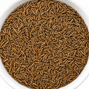 Poudre de Jeera indienne moulue finement, 100% pure, origine Gujarat, 80 Mesh, teneur élevée en huile volatile, marque FitTree International - Product Image 1