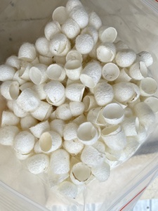 Capullo de Seda Orgánico Biodegradable con Colágeno para el Cuidado Facial - Ecológico, Corte 1/3 - Product Image 1