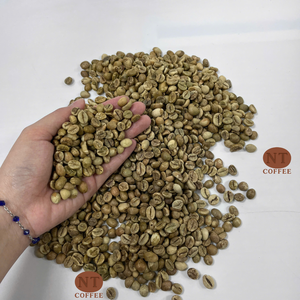 Exclusive Offer Vietnam Robusta Green Coffee Beans Grade A <b>Raw</b> <b>Material</b> For Instant Coffee Production - Product Image 1