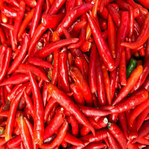 Piment rouge séché 100 % pur de qualité supérieure, entier, séché à l'air (AD), sans tige, norme d'exportation, épices et herbes simples, Gujarat - Product Image 3
