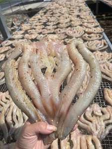 Pescado de cabeza de serpiente seco/KHO CA LOC-Especialidad sabrosa Vietnam mariscos secos-Precio barato para ventas al por mayor de Vietnam - Product Image 6