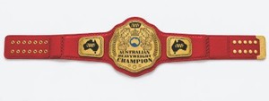 Cintura da Campionato di Wrestling con Logo Personalizzato USA, in Lega di Zinco Pesante e Vera Pelle, Taglia Adulto, Premio per Boxe e Fitness - Product Image 2