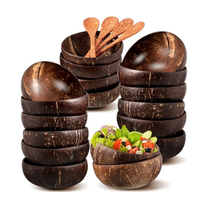 Tazón de Cáscara de Coco DISPONIBLE para Bandejas de Servicio de Aperitivos de Buffet Confiables y Vajilla Práctica para Comidas Elegantes - Product Image 1